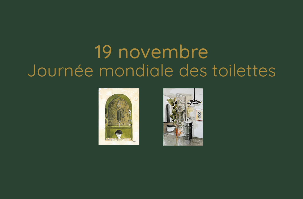 19 novembre : Journée mondiale des toilettes